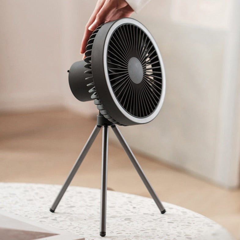Cordless electric ceiling fan