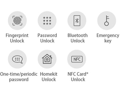 Serrure de porte intelligente avec sécurité biométrique et Wi-Fi