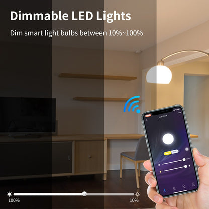 Ampoule Intelligente WiFi LED avec Minuterie et Couleur Variable
